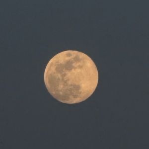 Meet your Posher, Myah